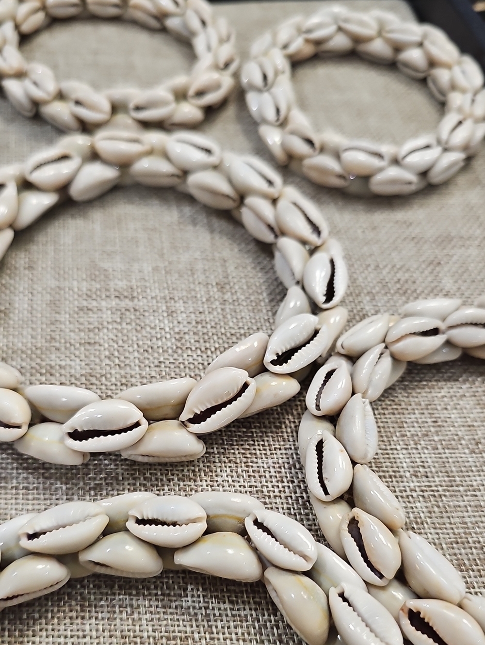 Cowrie Shell Set - Cream Shells
